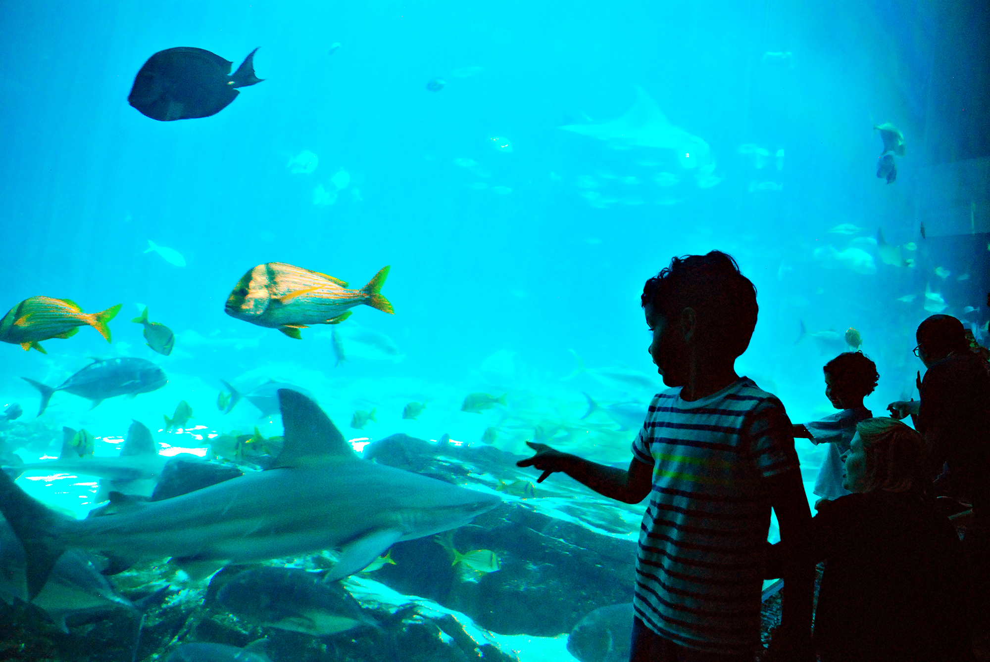 The Ultimate Atlanta Bucket List of Things to Do_Love Joleen_Joleen Pete Photography_03.jpg