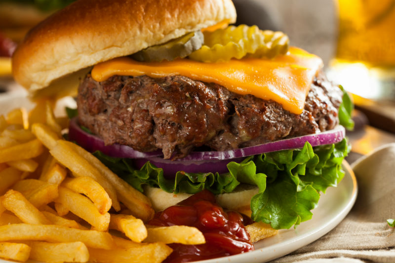 Bison Burger.jpg
