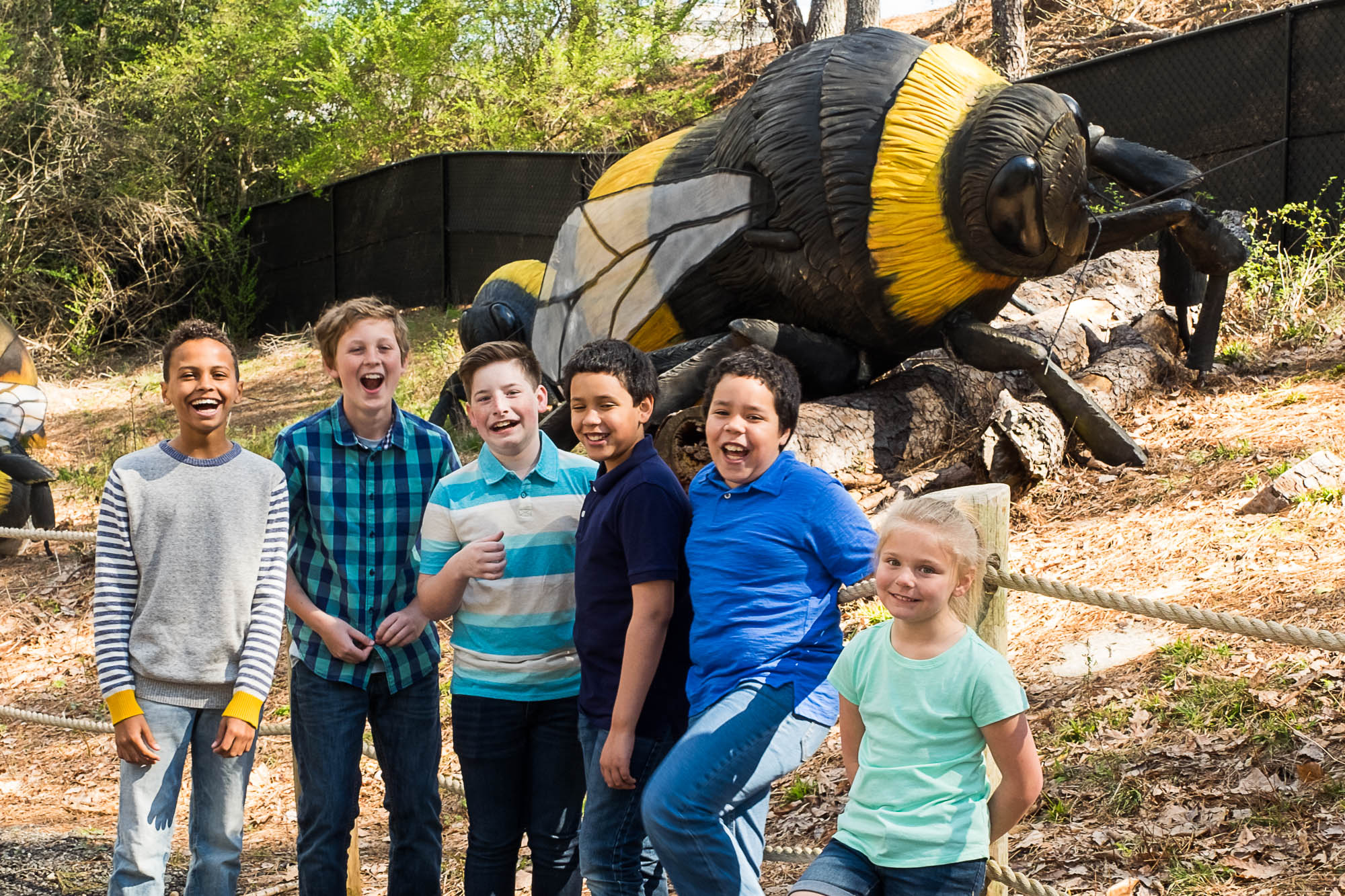 Summer Exhibit: MEGABUGS! Adventure Encounters at Stone Mountain Park in Atlanta