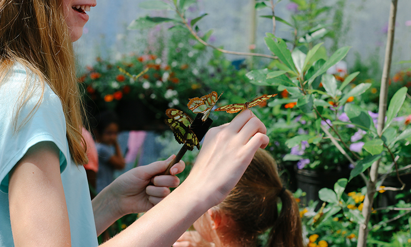 Atlanta Convention and Visitors Bureau_Ultimate List of Things To Do in Atlanta for Nature Lovers_Chattahoochee Nature Center Butterfly Encounter_Benjamin A Pete Photography.jpg