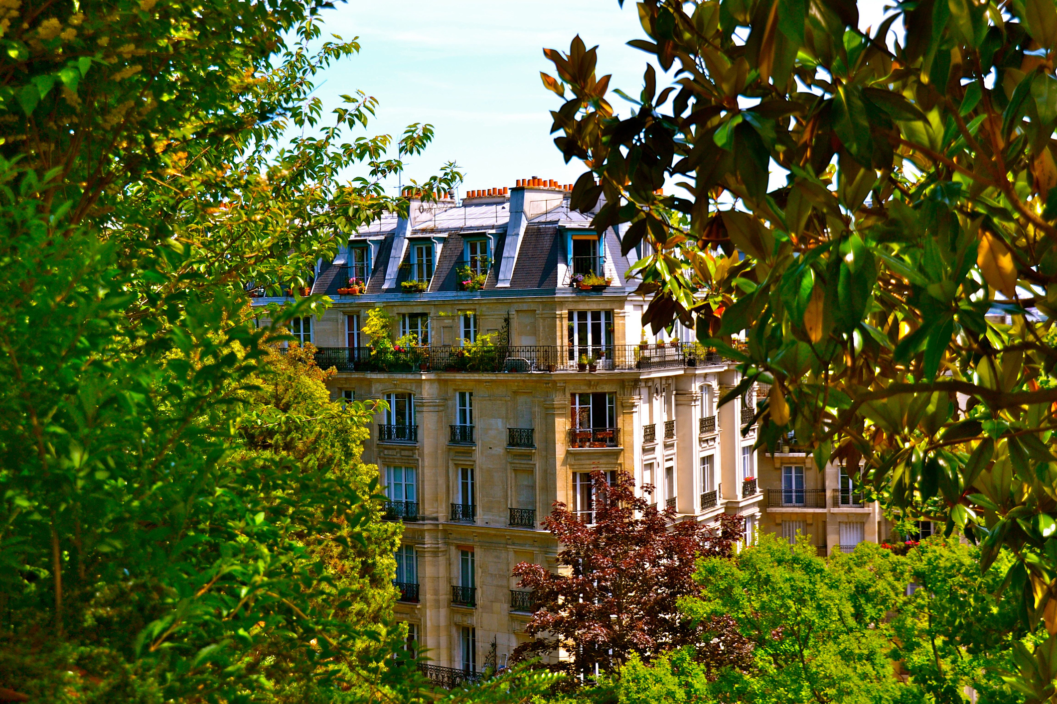 How Cities Prioritize Public Greening Initiatives - Blueprint