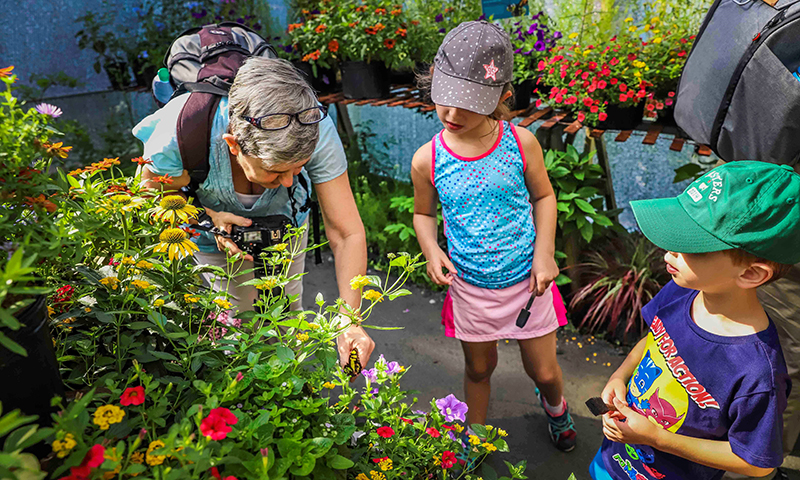 Butterfly Festival_Chattahoochee Nature Center.jpg