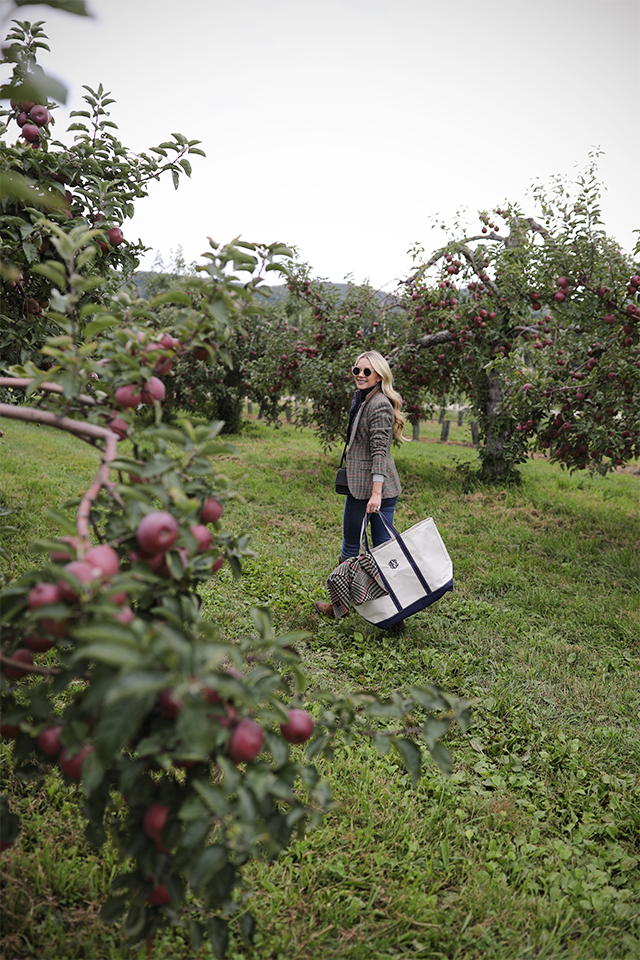 blair-eadie-atlantic-pacific-blair-bag-feed-apple-picking.jpg