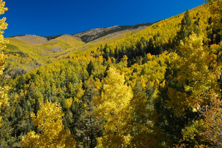 8 places for stunning fall foliage that aren't New England | Orbitz