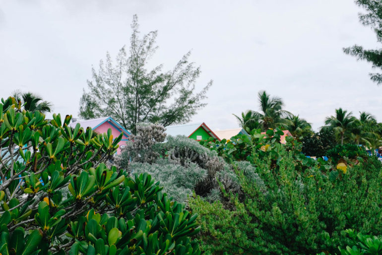 colorful bungalows peeking out from greenery