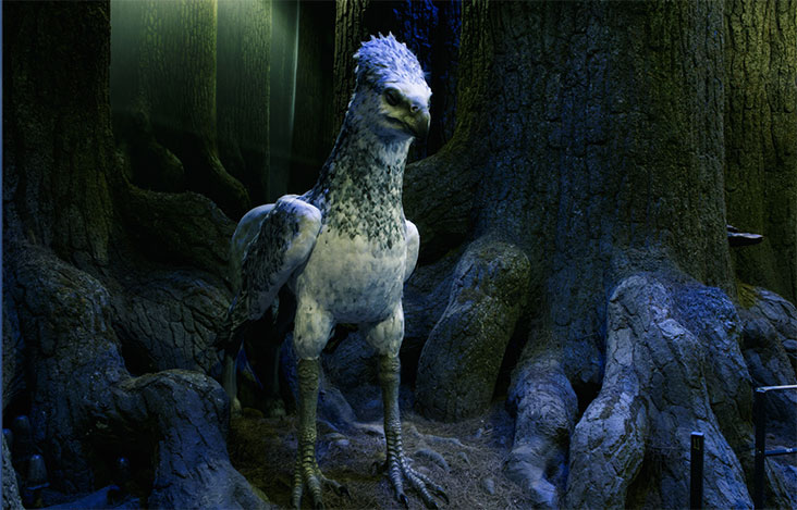 Hippogriff model at Harry Potter Studios