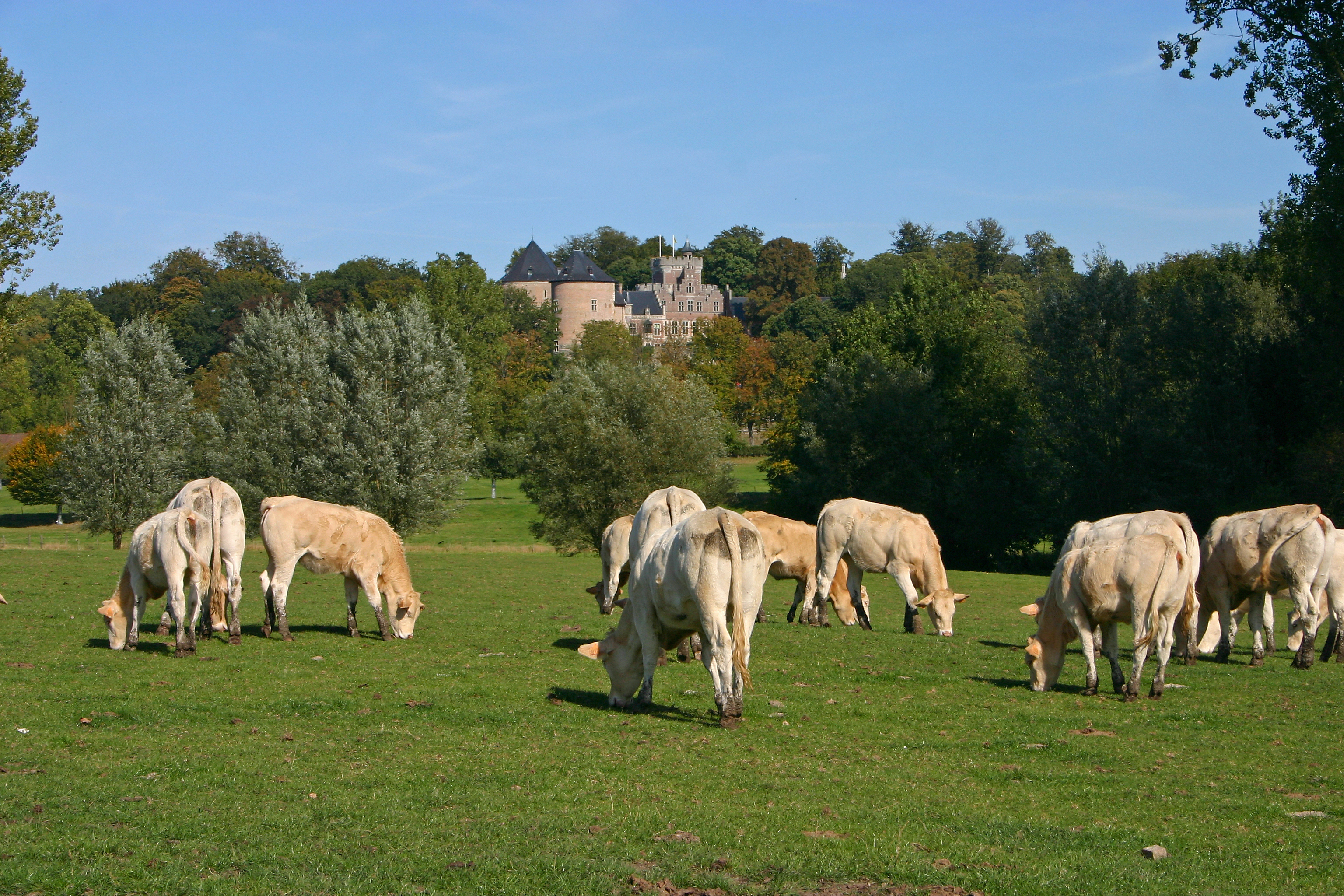 Meadow before Gaasbeek Castle