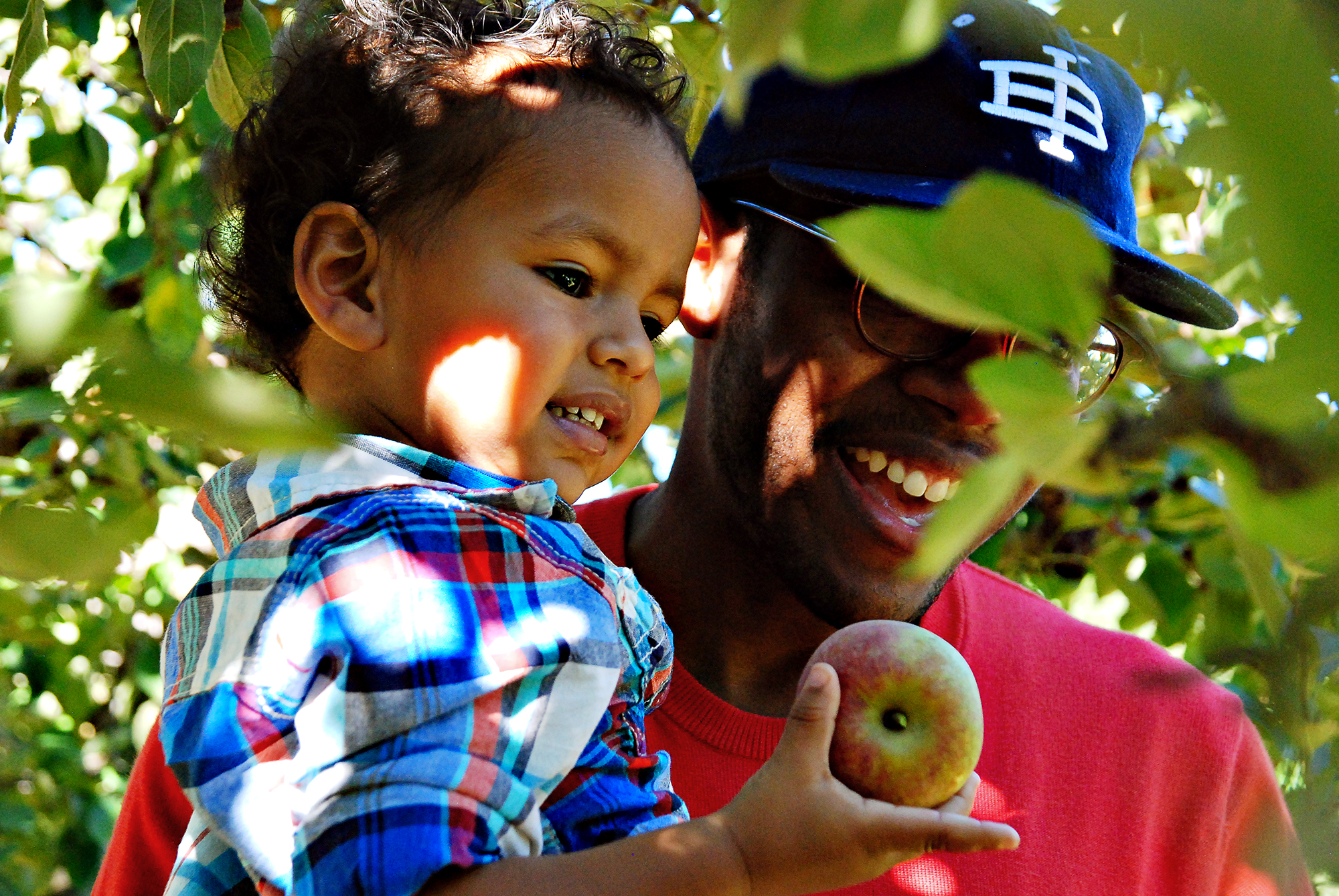Find Fall Fun in Atlanta: Apple Picking, Pumpkins, Football and More_Joleen Pete