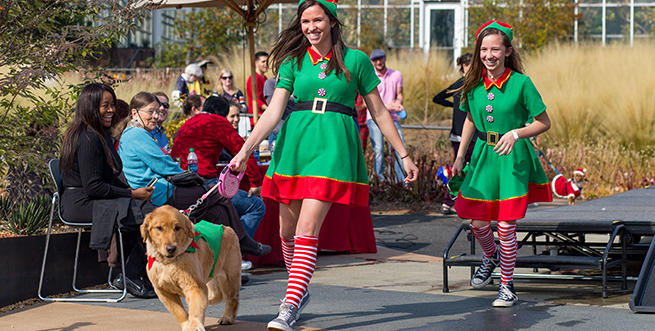Reindog-Parade.jpg