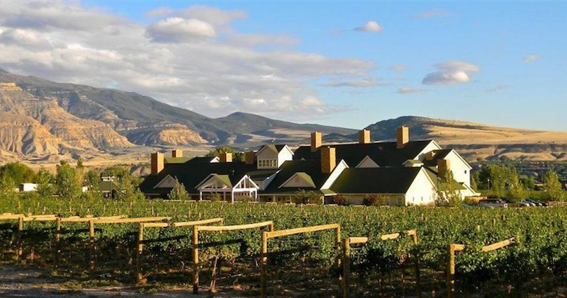 wine county inn.png
