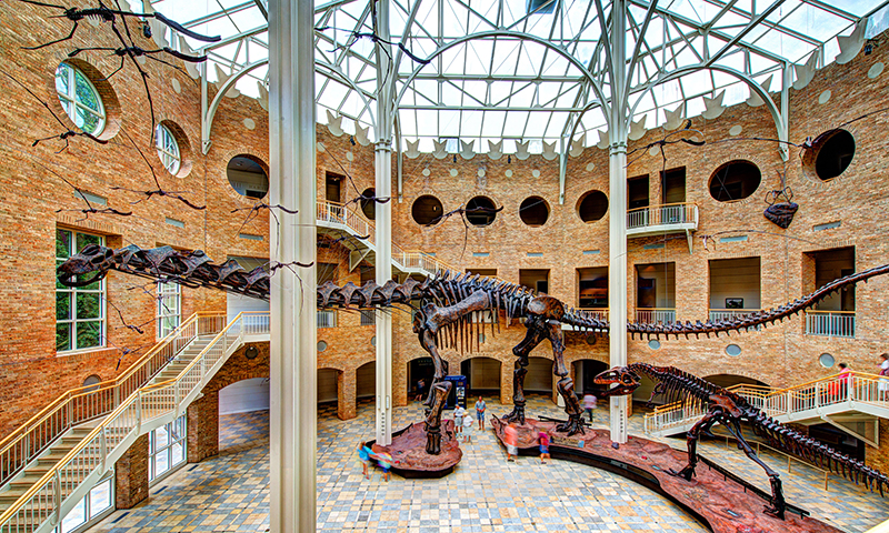 The Giants of the Mesozoic will take your breath away at Fernbank Museum of Natural History