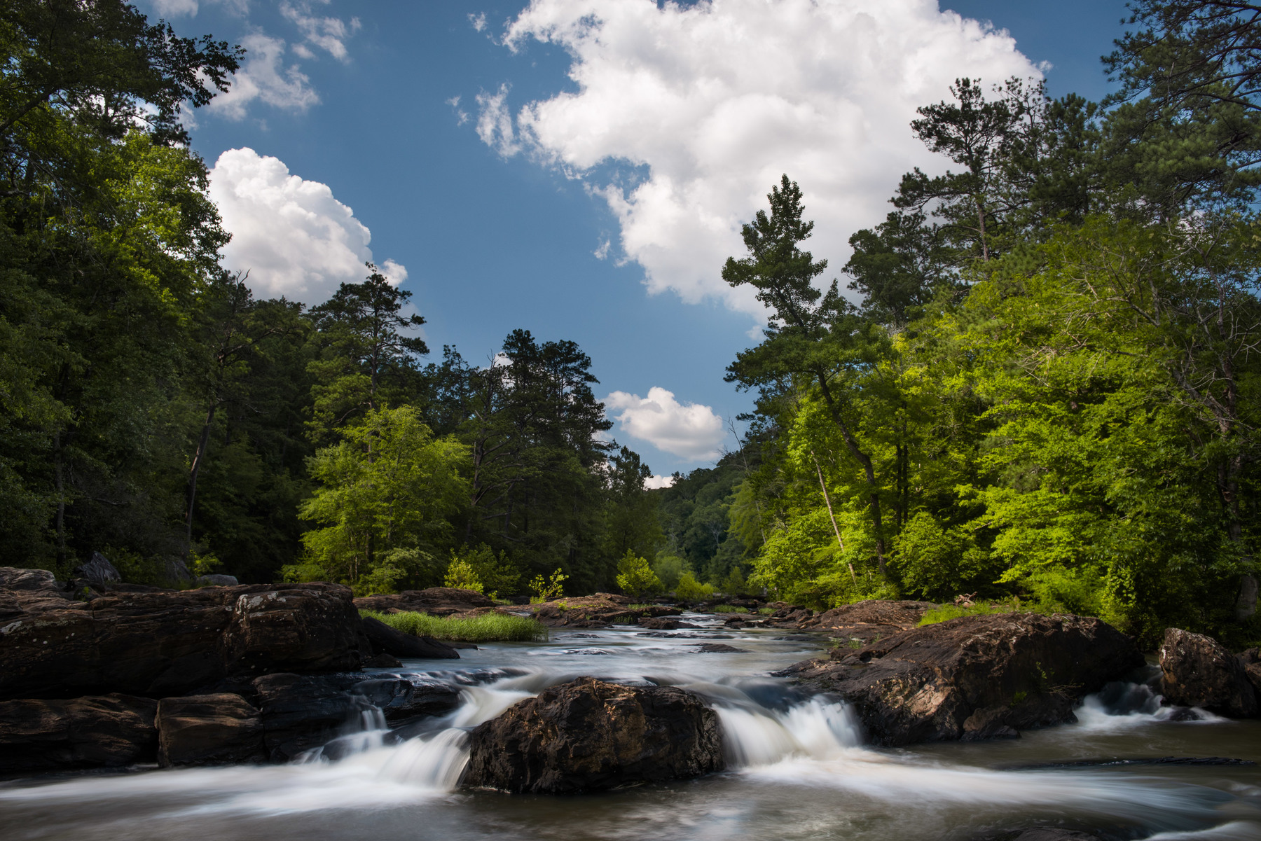Sweetwater Creek State Park
