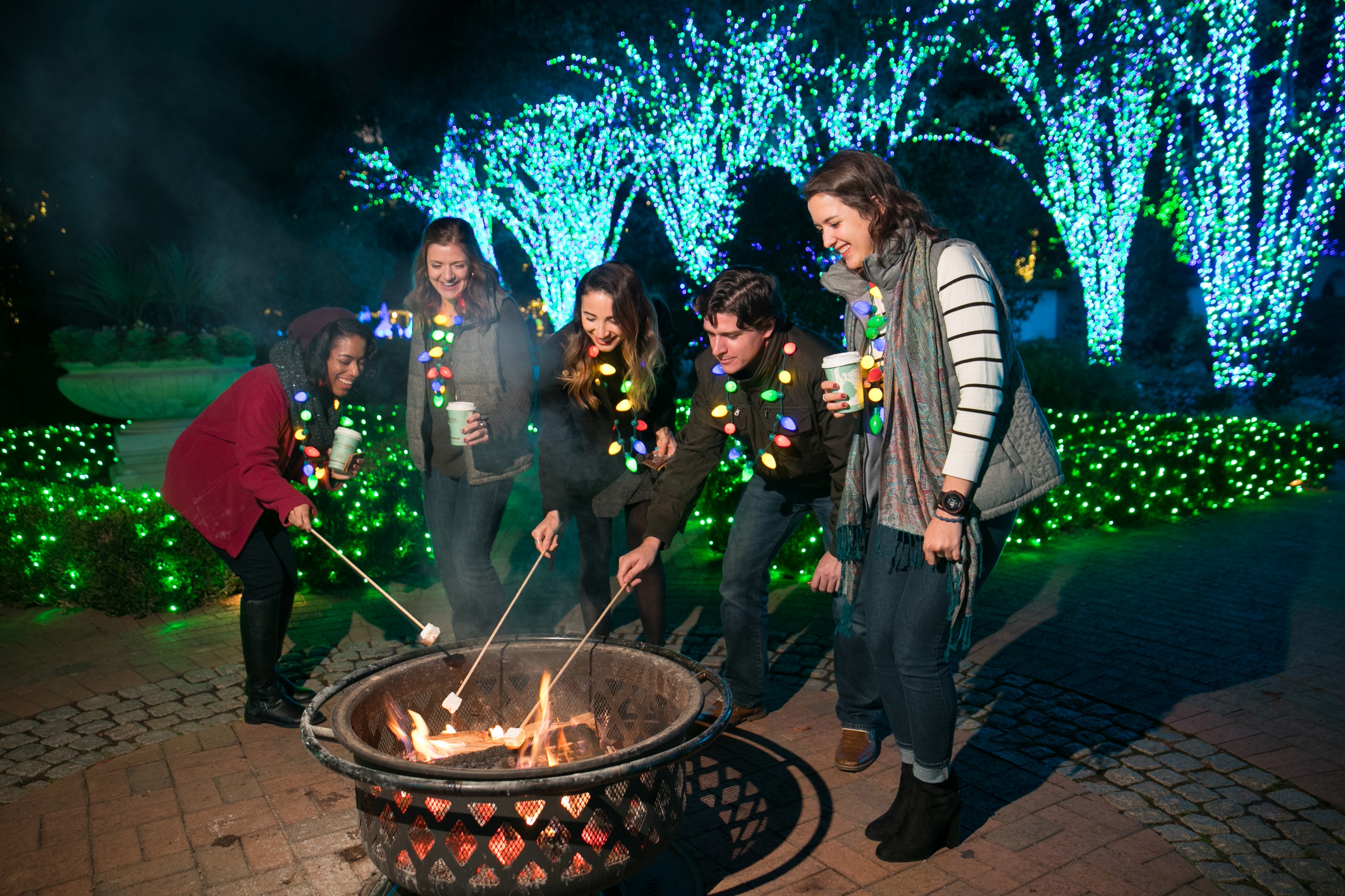 S'mores at Atlanta Botanical Garden