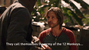 Image result for 12 monkeys