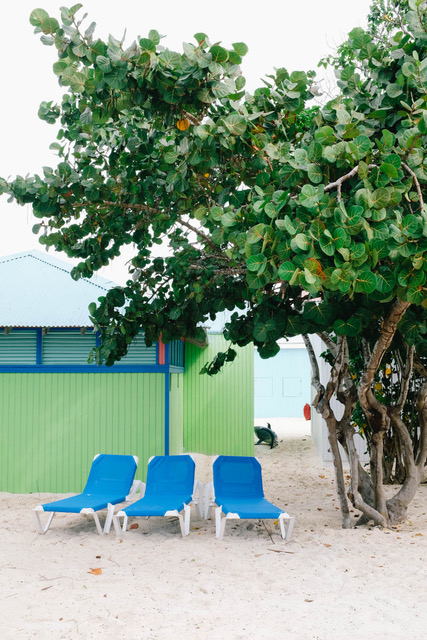 three blue beach chairs in front of green bungalow